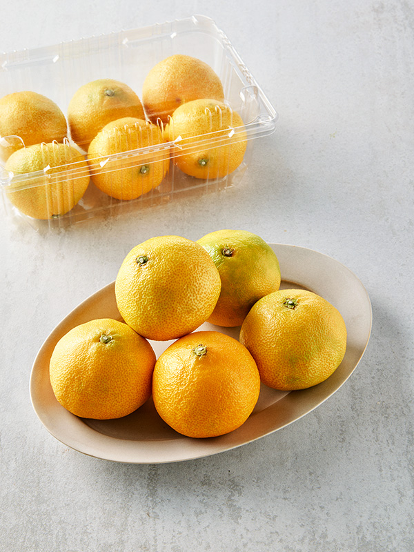 [당도보장] 제주직송 황금향 (1kg, 7-8입)