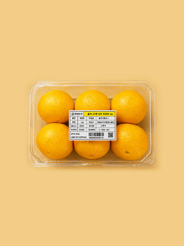 [당도보장] 제주직송 황금향 (5~6입)