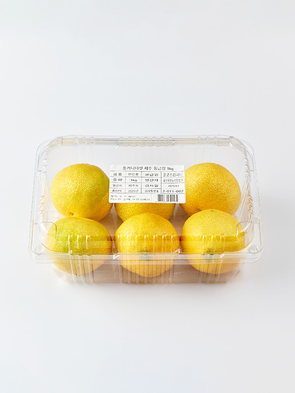 제주직송 황금향 (1kg, 5-6입)