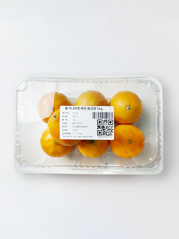 [당도보장] 제주직송 황금향 (1kg, 7-8입)