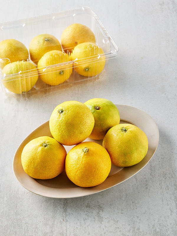 제주직송 황금향 (1kg, 5-6입)