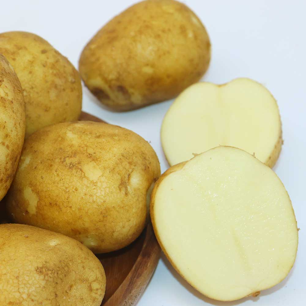친환경 무농약 국내산 감자 1~3kg