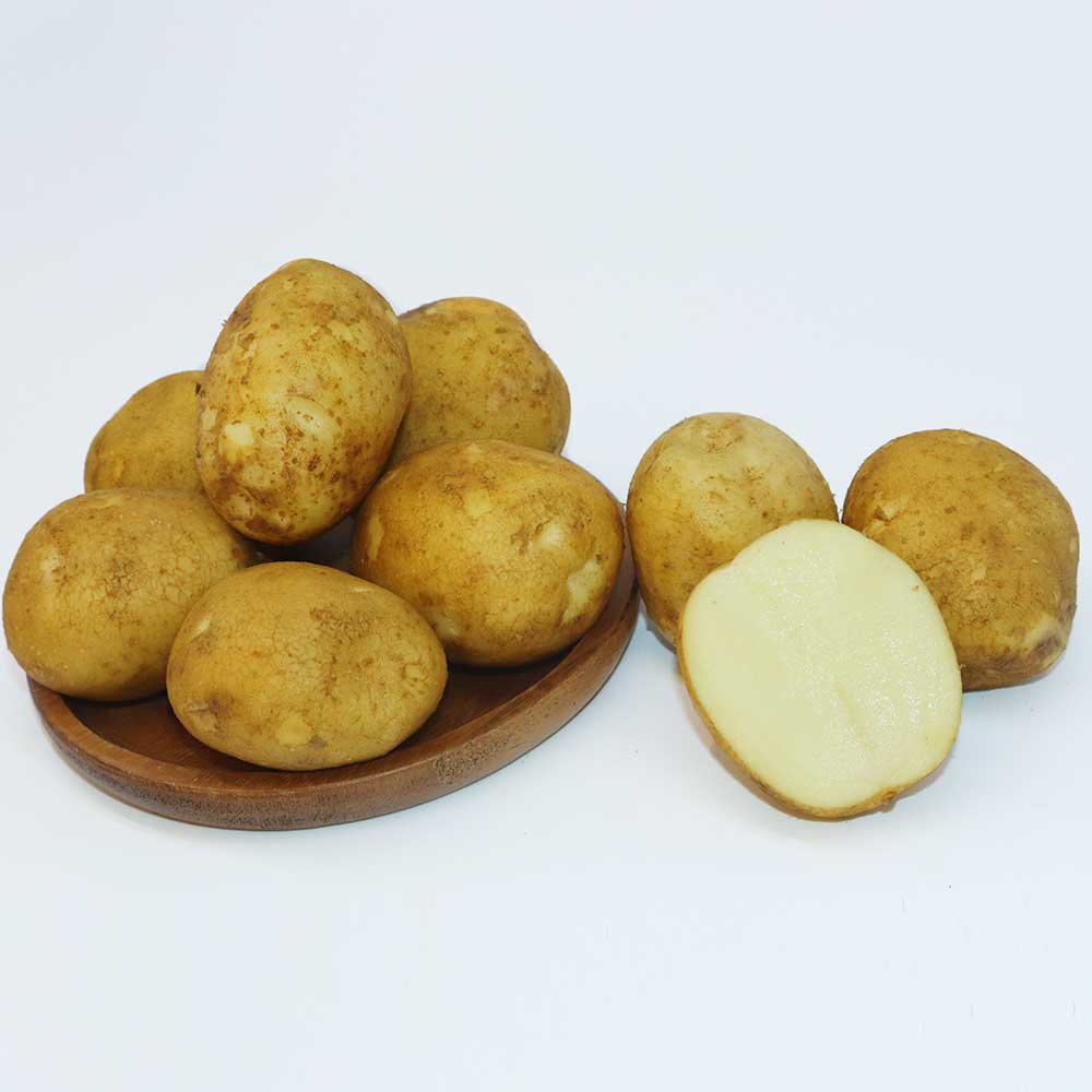 친환경 무농약 국내산 감자 1~3kg