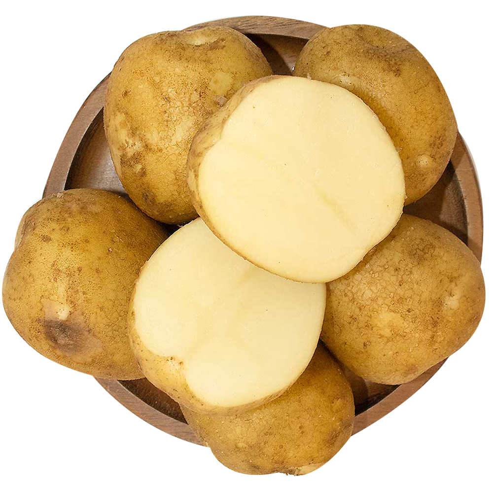 친환경 무농약 국내산 감자 1~3kg