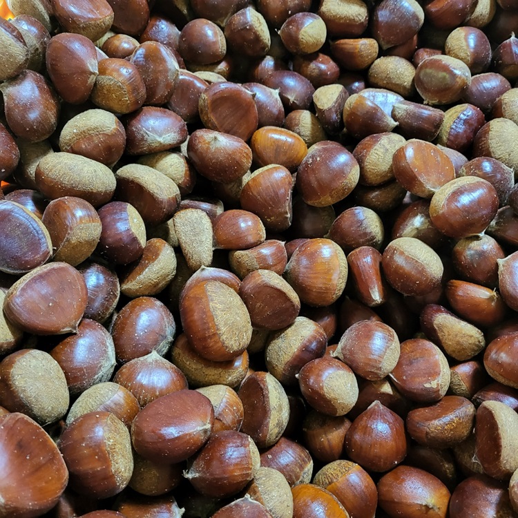 국내산 산지직송 공주 햇밤 알밤 1kg, 2kg, 3kg, 5kg