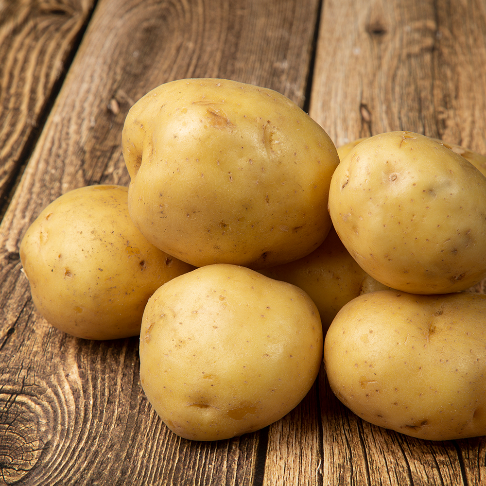 정직하게 키운 단단한 국산 햇감자 5kg 10kg