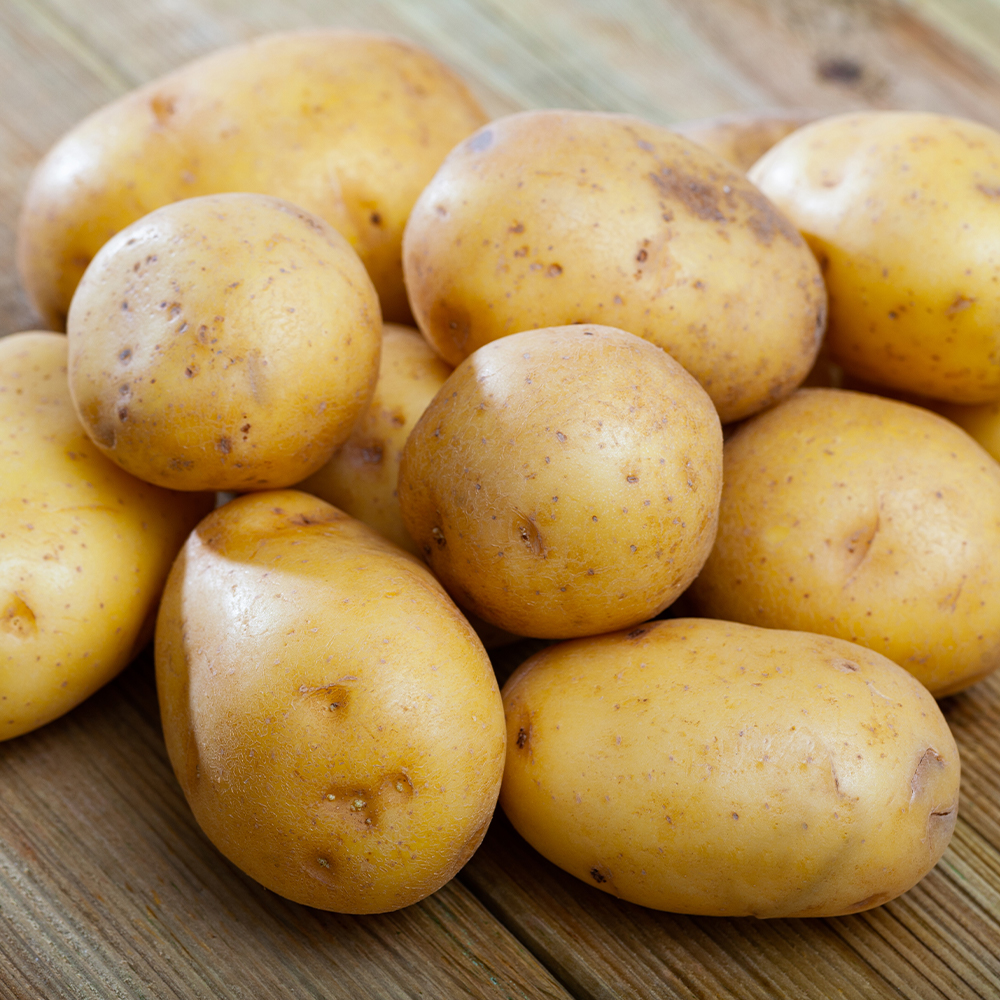 정직하게 키운 단단한 국산 햇감자 5kg 10kg