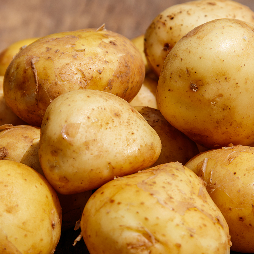 정직하게 키운 단단한 국산 햇감자 5kg 10kg