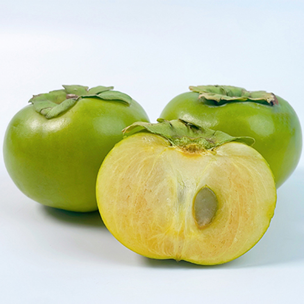 [단감최고] 태추 단감 배 단감 1kg 2kg 3kg 4kg