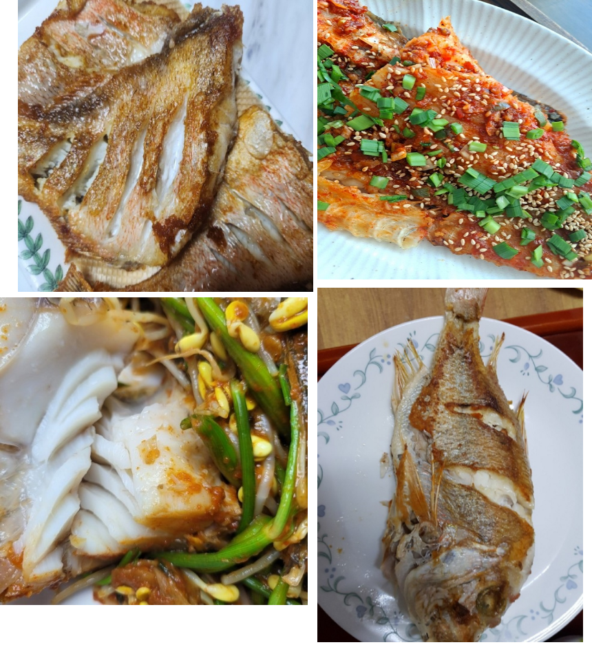 동해안 해풍 반건조 생선구이 5종 세트/고등어/삼치/방어/열기/가자미 선물세트