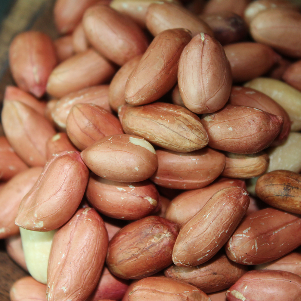 고소함이 가득한 여주땅콩 (생/볶음 옵션선택) (500g/1kg) 대표이미지 섬네일