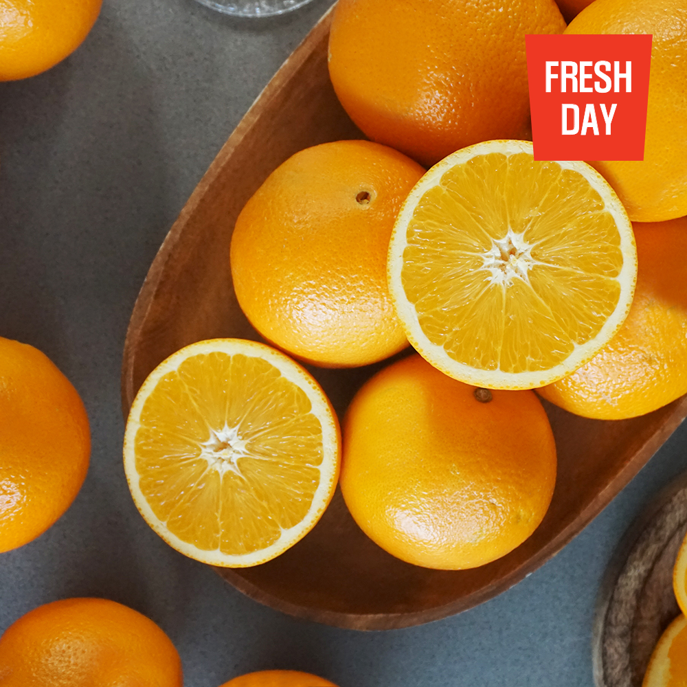 프리미엄 생생 오렌지 선물세트 로얄대과 12입