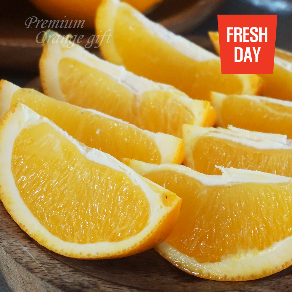 프리미엄 생생 오렌지 선물세트 로얄대과 12입
