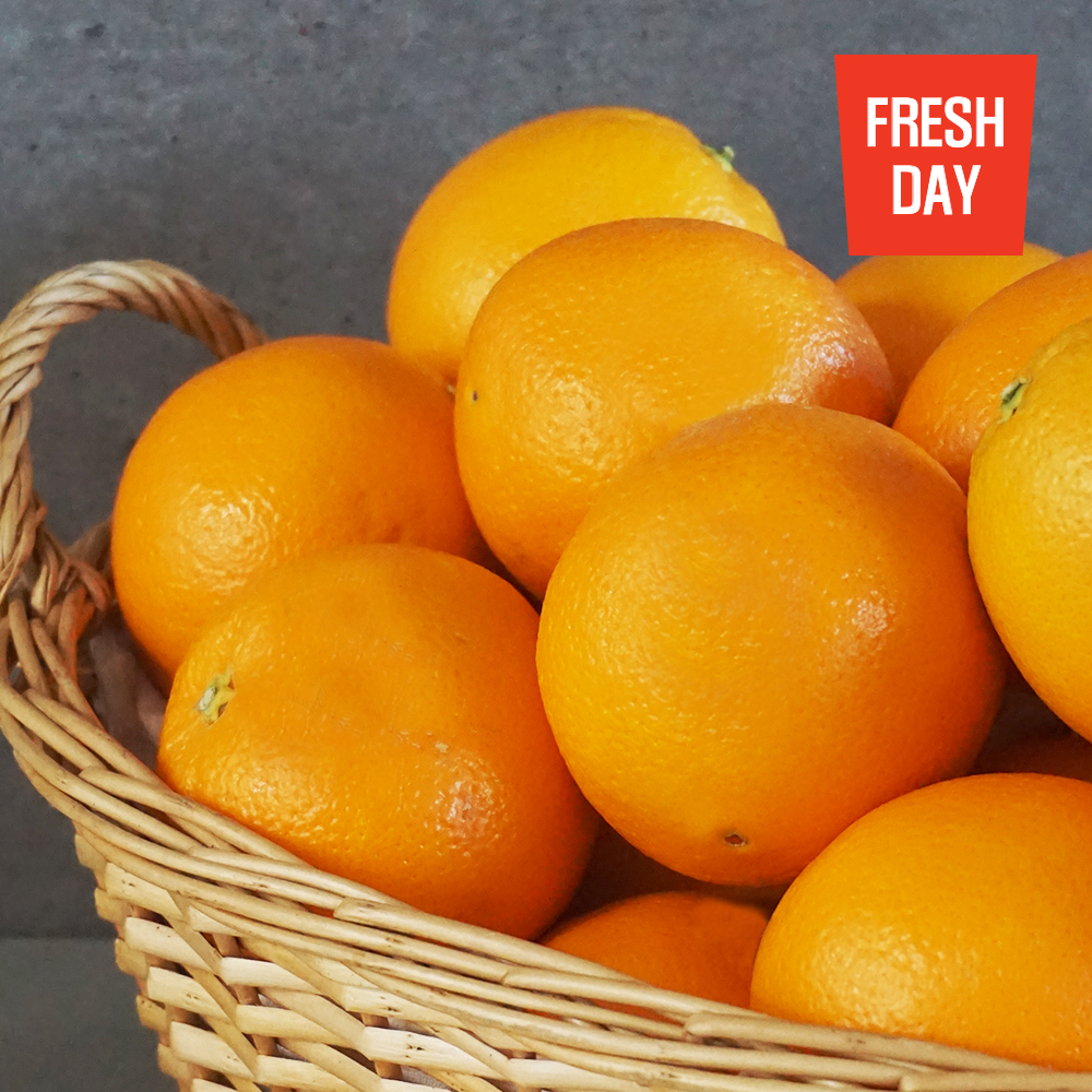 프리미엄 생생 오렌지 선물세트 로얄대과 12입