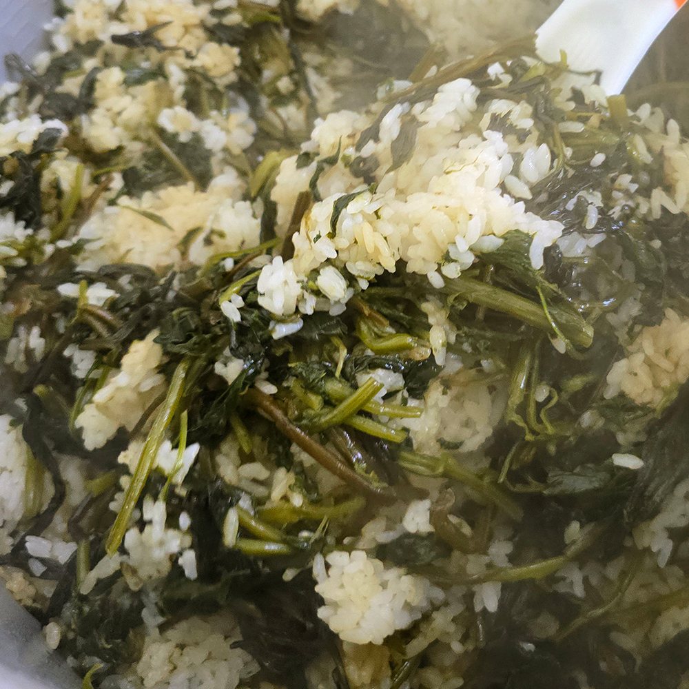 국내산 나물로 만든 전통 간편식 삼잎나물밥 250g + 양념간장 20g