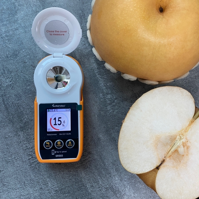 [명절캄스] 나주 배 선물세트 5kg 7.5kg GAP 인증