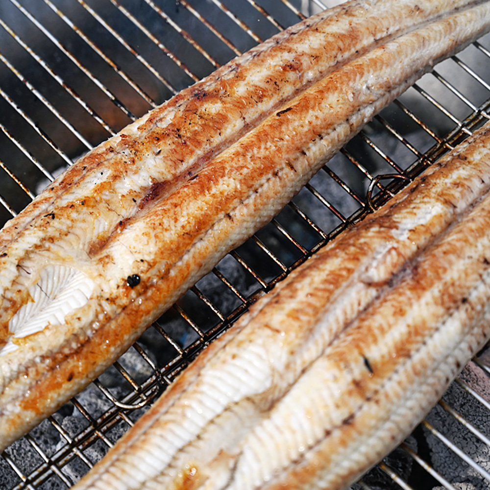 국내산 장어 민물장어 풍천민물장어 손질장어 생물손질 - 실중량 450g/550g/650g/750g