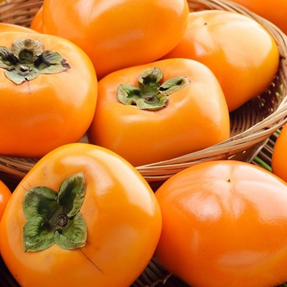 부드럽고 달콤한 청도반시 (2.5kg/5kg)(꼬마~중대과)