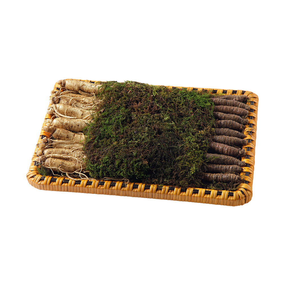 토종 오리지널 더덕 수삼 에디션 S2 명절 선물세트 [더덕 450g+수삼 450G (900G)