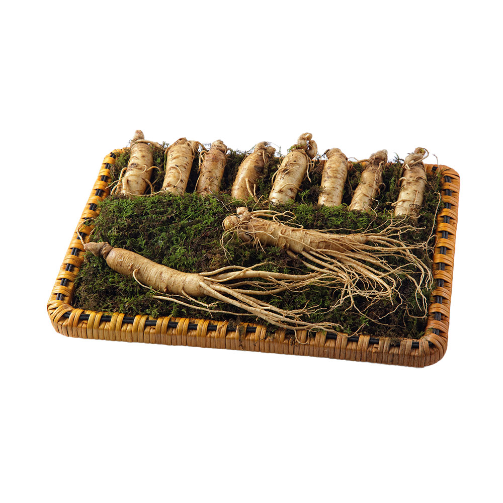 [고급포장] 토종 오리지널 금산 수삼 에디션 S5 명절 선물세트