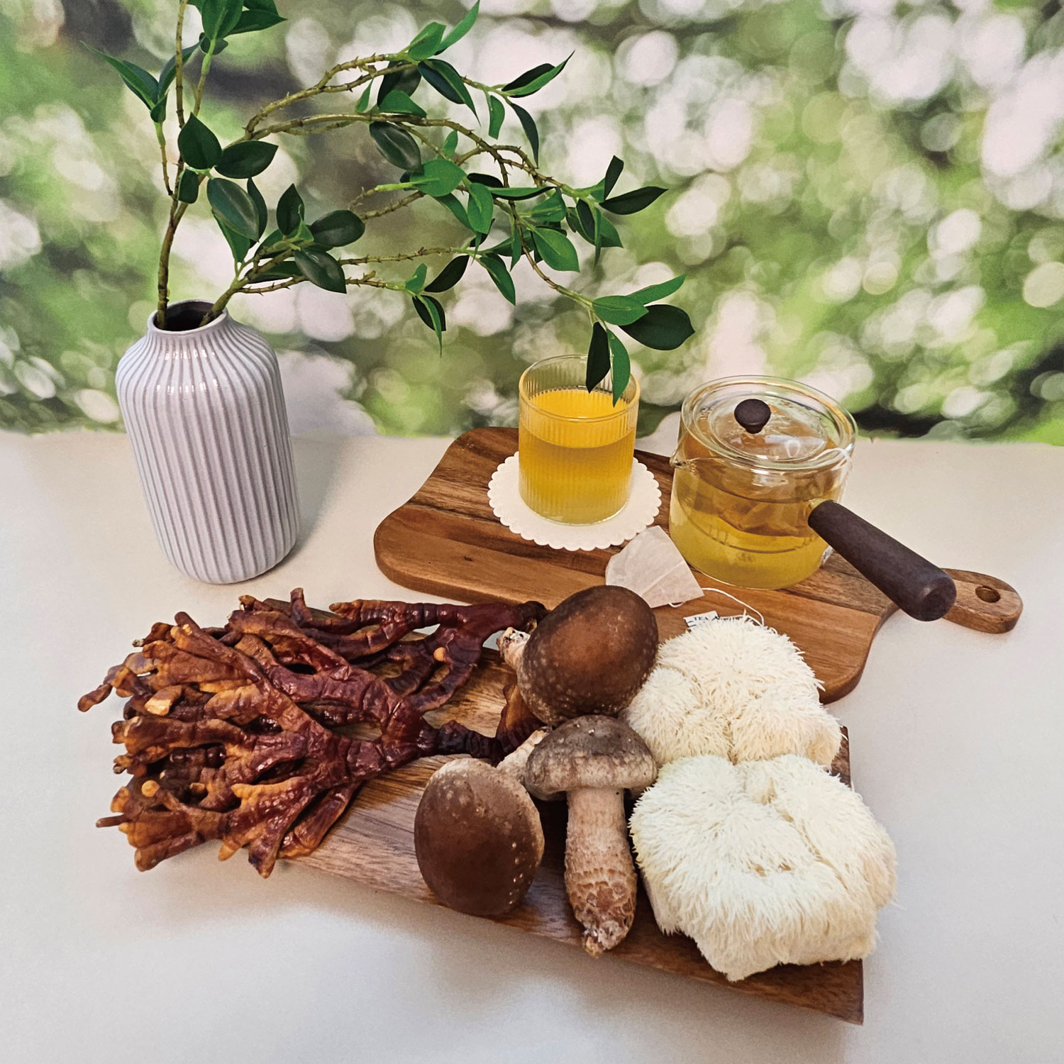 버섯 티백 선물세트