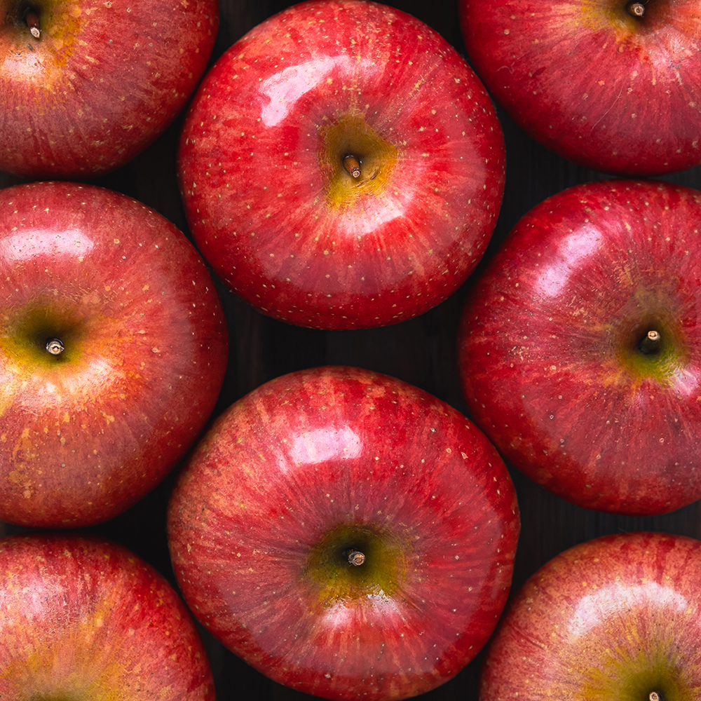 [선물용 최상품] 밀양 얼음골 아삭아삭 꿀사과 5kg 10kg 정품 최상품