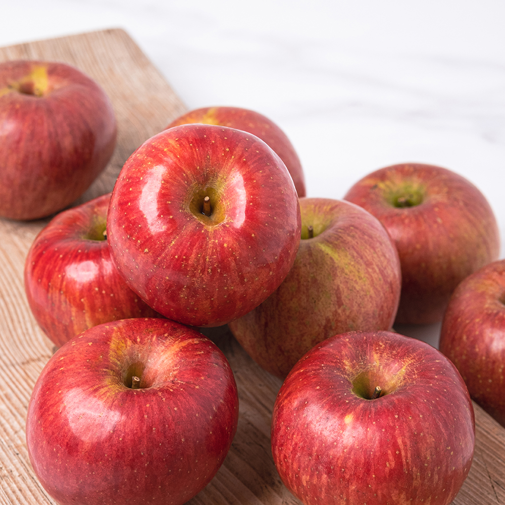 [선물용 최상품] 밀양 얼음골 아삭아삭 꿀사과 5kg 10kg 정품 최상품