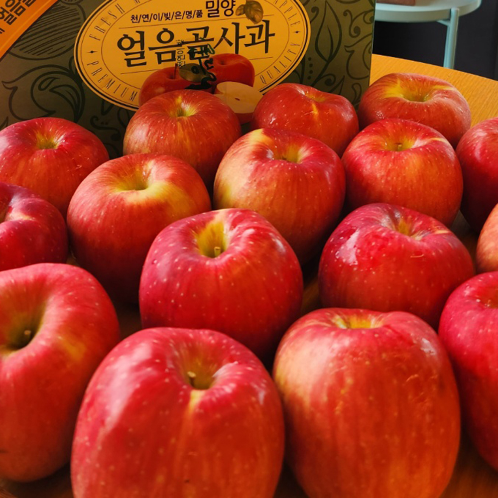 [선물용 최상품] 밀양 얼음골 아삭아삭 꿀사과 5kg 10kg 정품 최상품