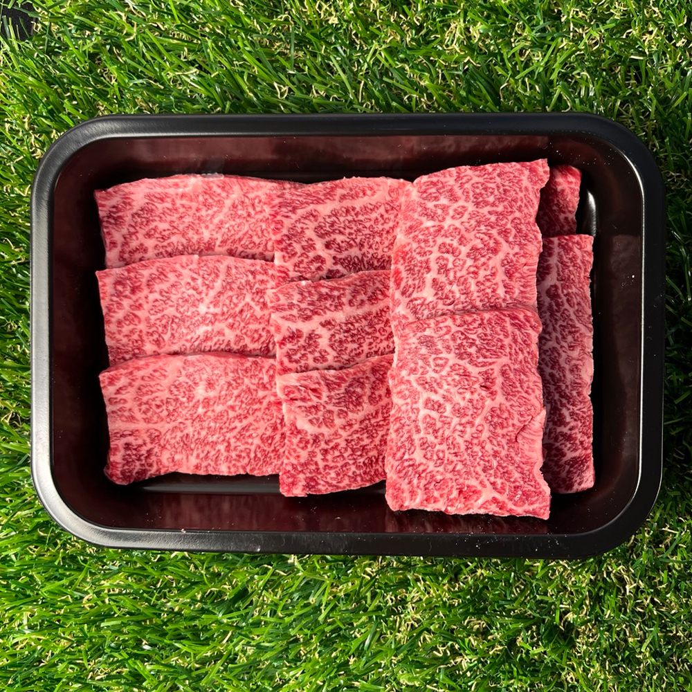 [선물세트] 1++ 프리미엄 등급 한우 선물세트 / 스킨포장 선물포장 명절 추석 설날