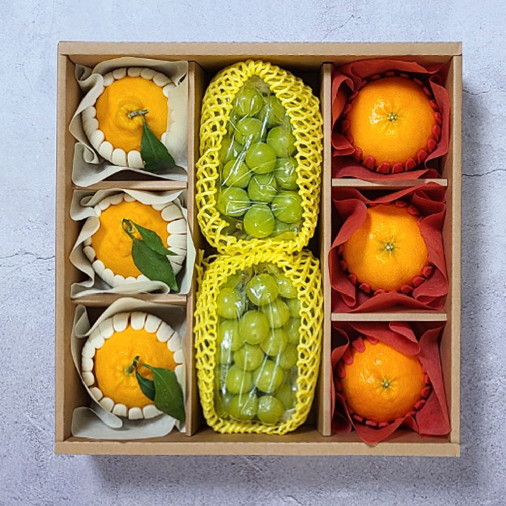 귀중한 분에게 명품 과일 선물세트