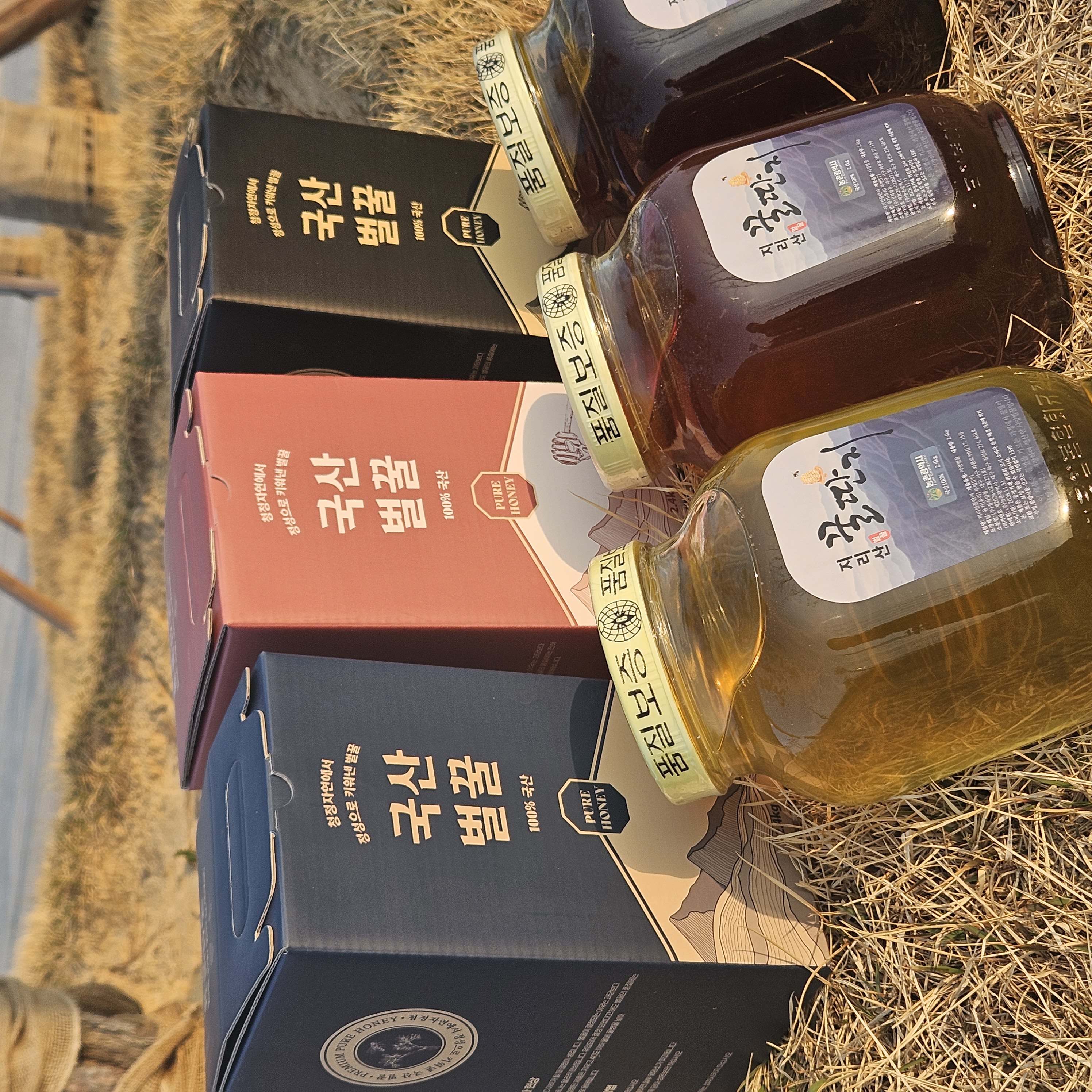 [농촌광역시] 청정지역 지리산 산청 사양벌꿀 2.4kg 3종 (컬러박스 포장) 대표이미지 섬네일