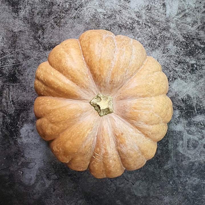 무료배송] 2025년 햇 울릉도 늙은호박 3-4kg 내외