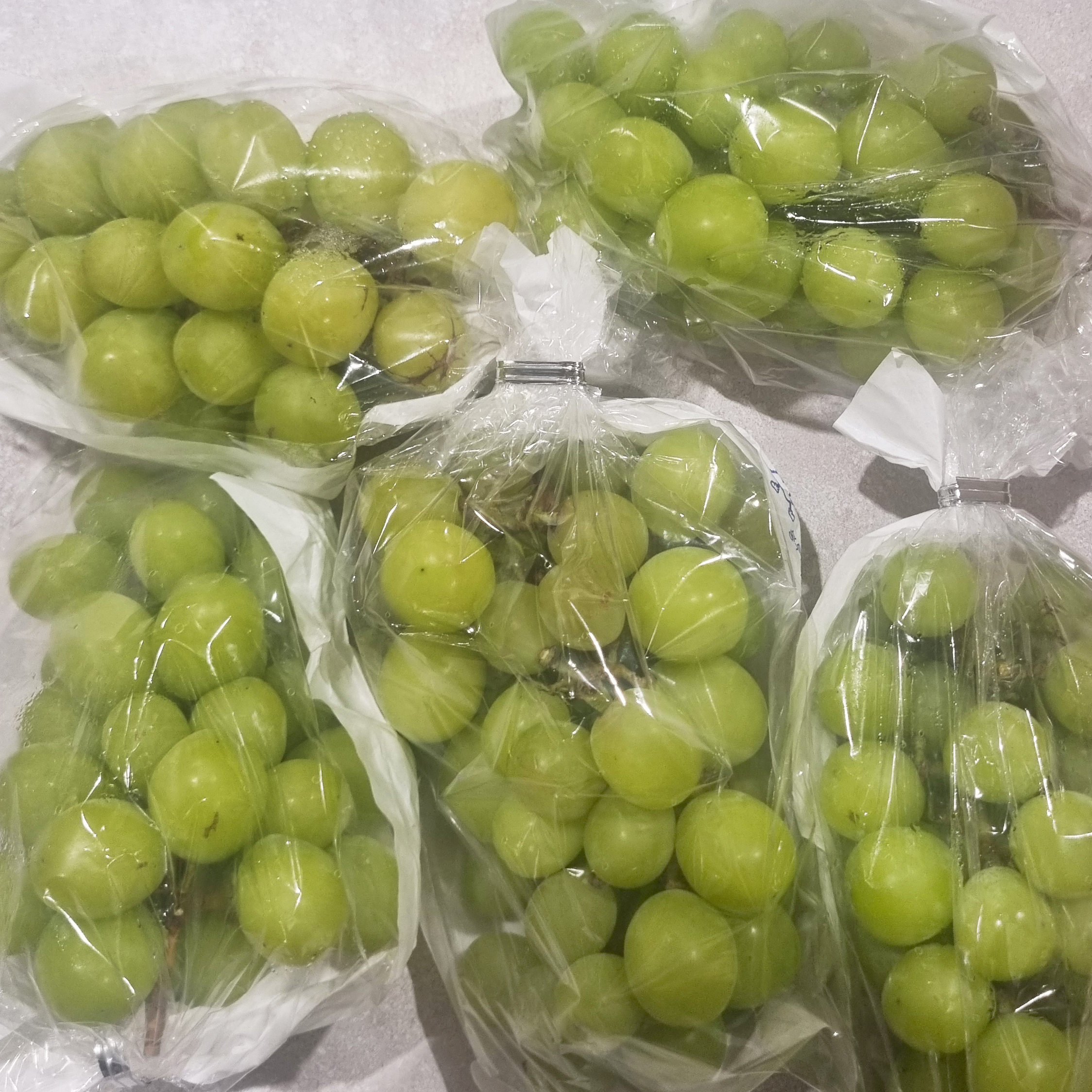 샤인머스캣 초특가 망고포도 씨없는 청포도 샤인머스켓 2kg