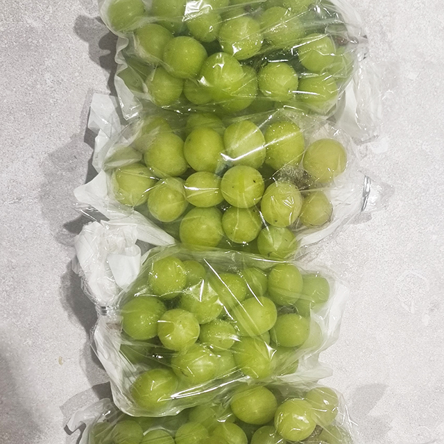 샤인머스캣 초특가 망고포도 씨없는 청포도 샤인머스켓 2kg 대표이미지 섬네일