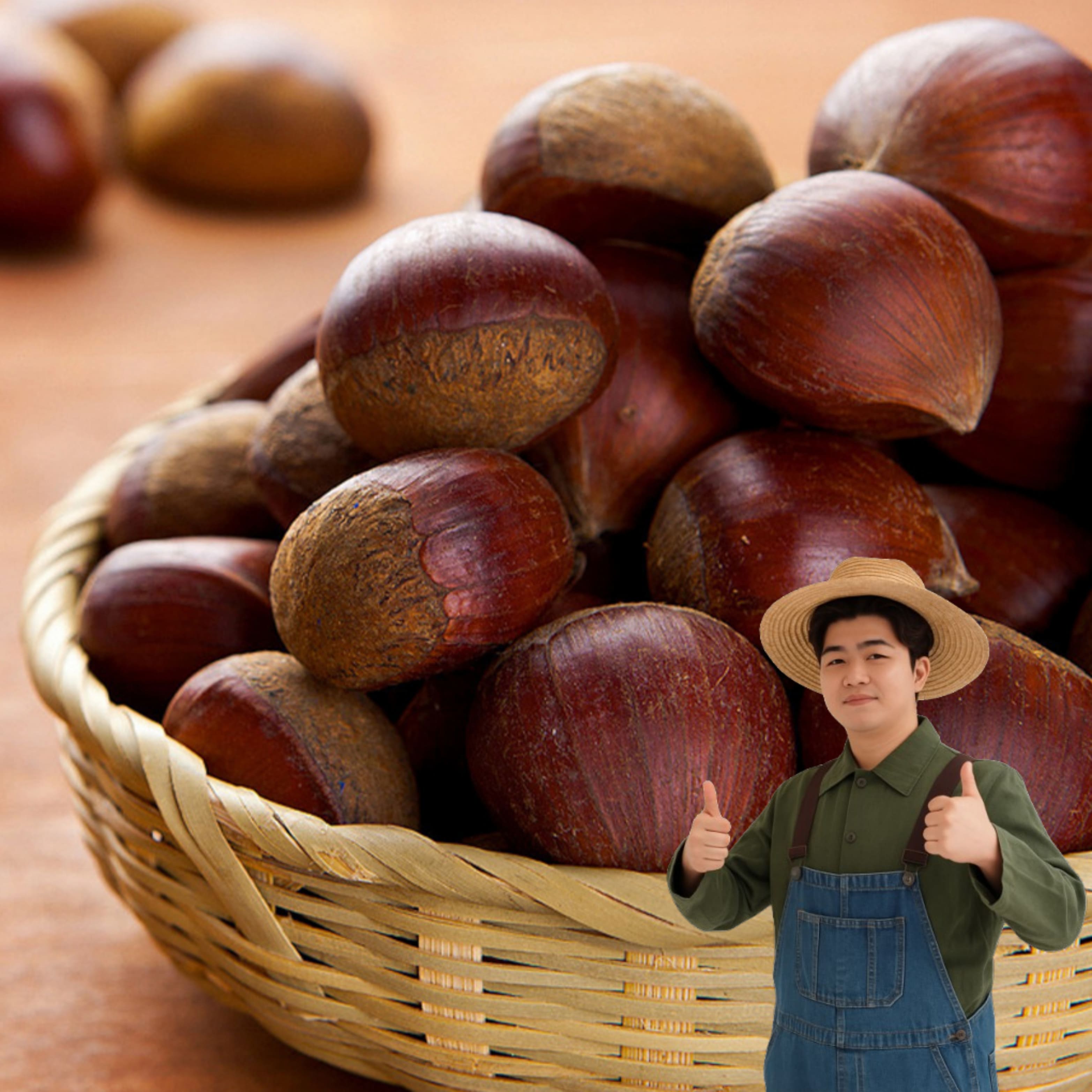 천유작 산지발송 국내산 부여 햇밤 알밤 (특대)