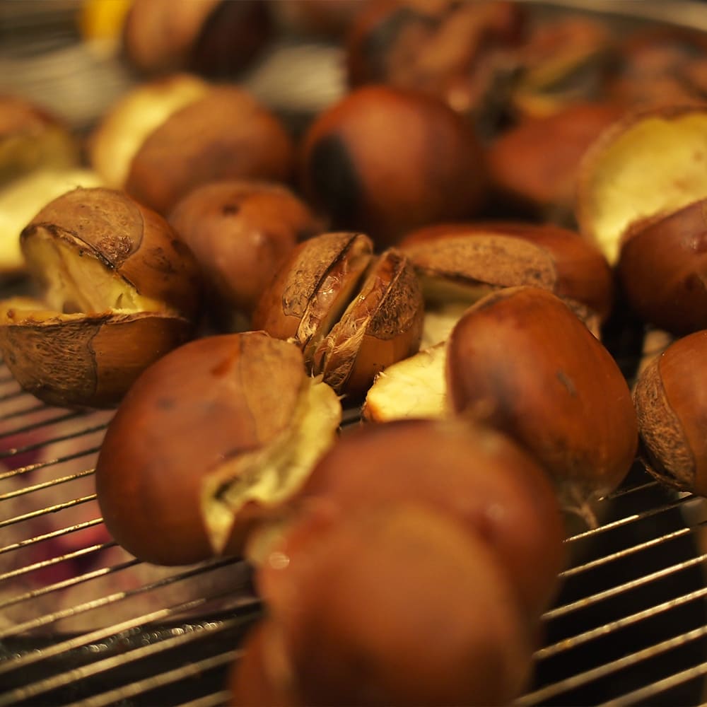 천유작 산지발송 국내산 부여 햇밤 알밤 (특대)