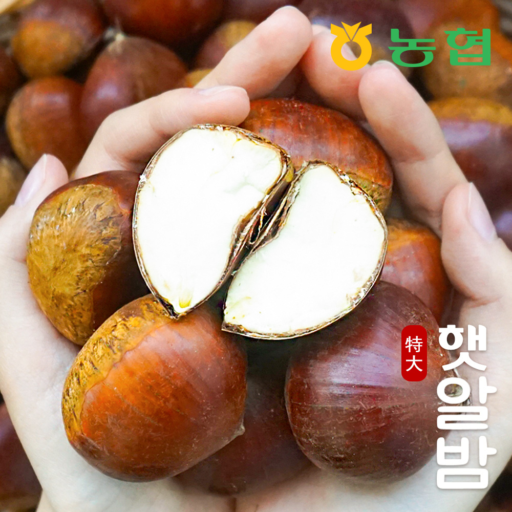 [농협] 토실토실 햇밤 순창 알밤 특대 1kg ~10kg(제수용) 대표이미지 섬네일