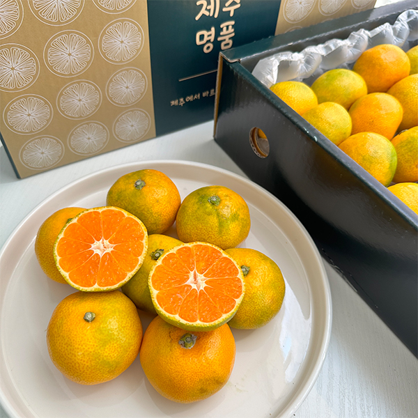 [명절캄므] 제주 하우스 감귤 선물세트 2kg 3kg 5kg