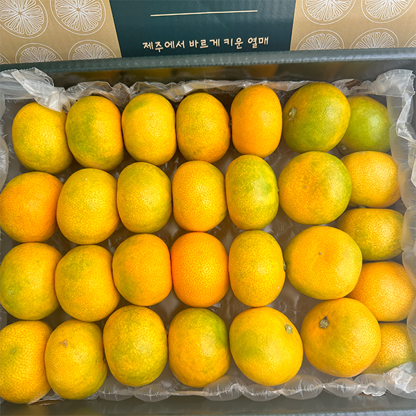 [명절캄므] 제주 하우스 감귤 선물세트 2kg 3kg 5kg