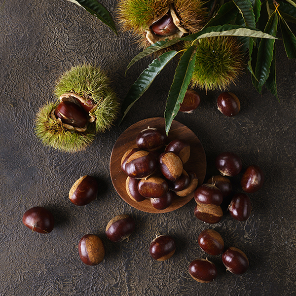 공주 알밤(800g/대)