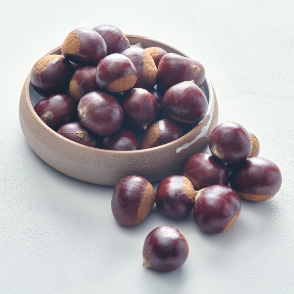 공주 알밤(500g/특)