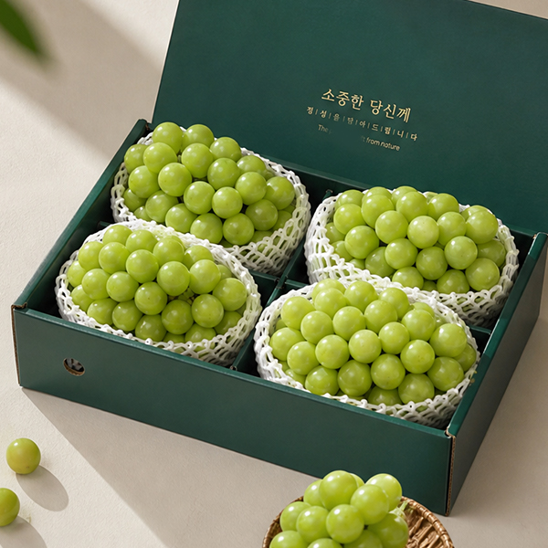 [명절최고] 빛나는 샤인머스켓 고당도 2kg 선물세트 선물용