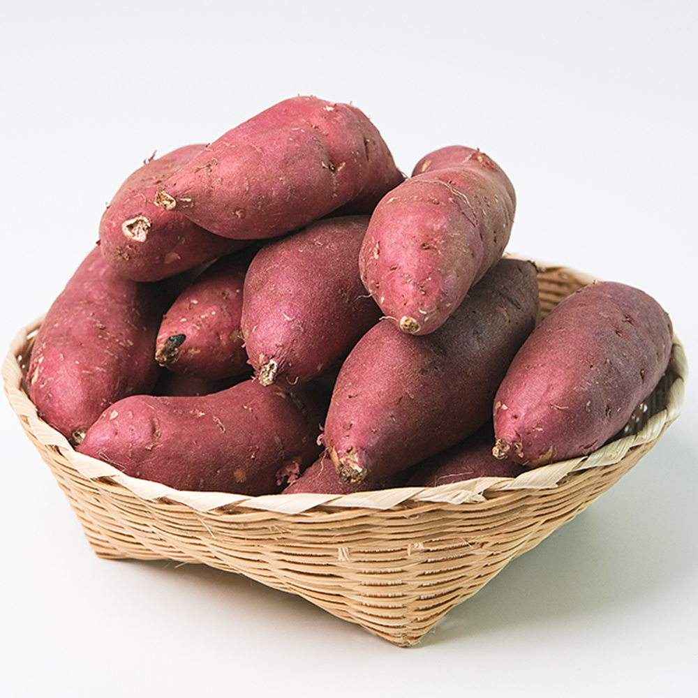 25년 햇고구마 호풍미 호박고구마 꿀 고구마 2kg 3kg 5kg 10kg