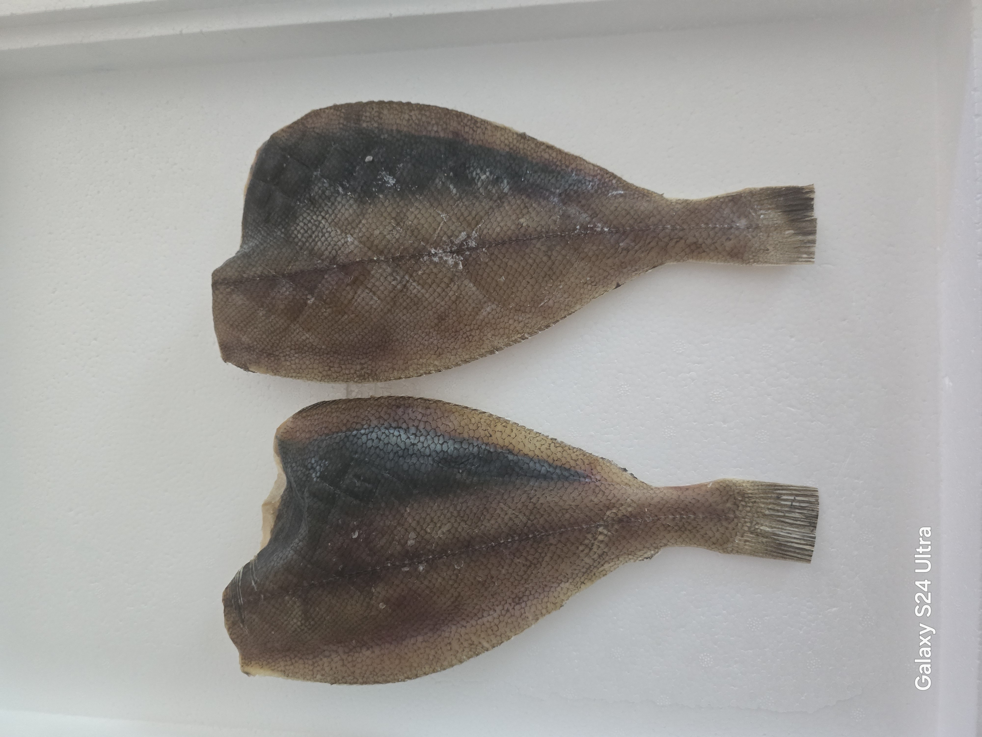 참가자미 특대 완전손질 가자미 2마리(마리당30cm)