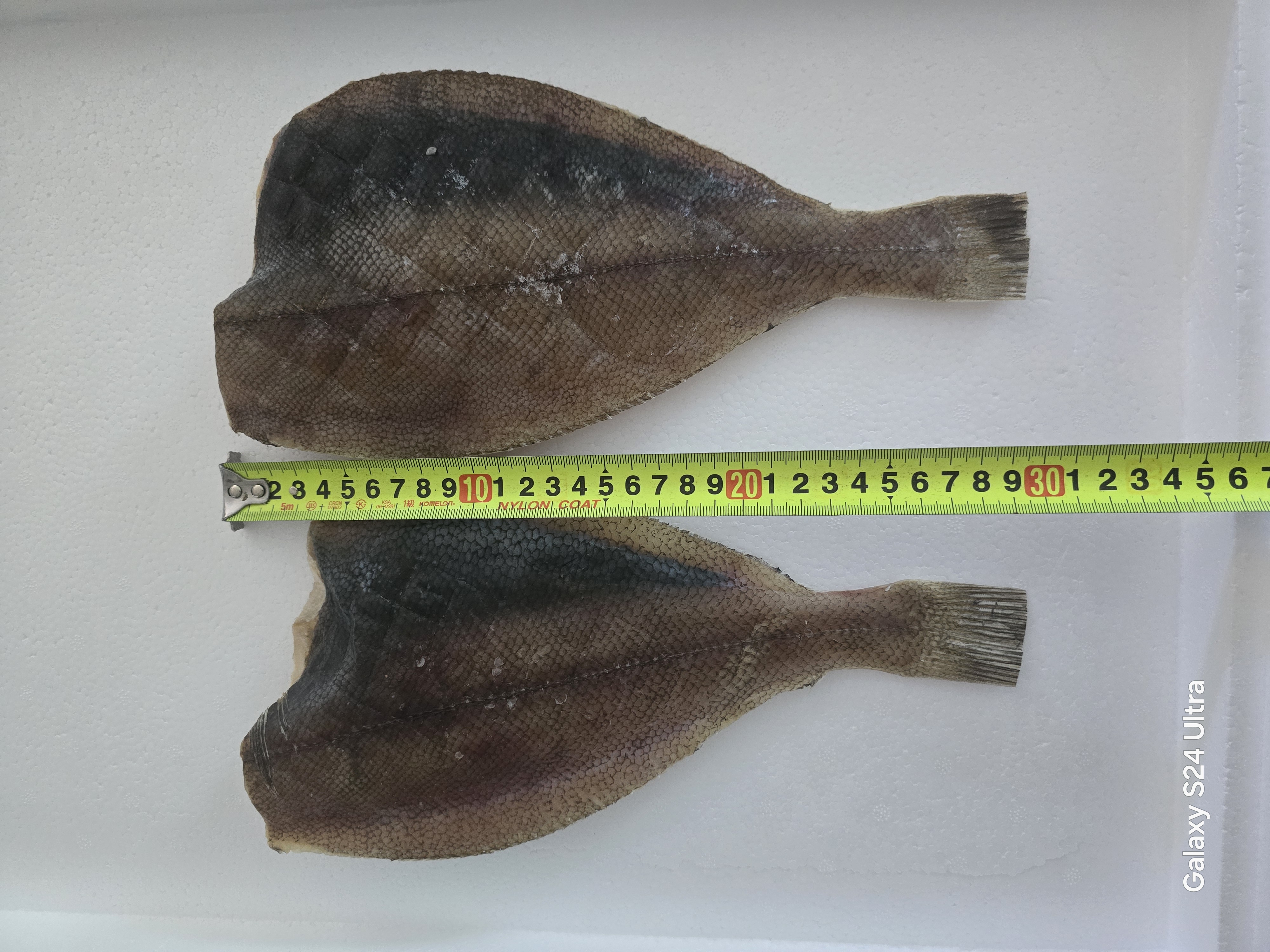 참가자미 특대 완전손질 가자미 2마리(마리당30cm)