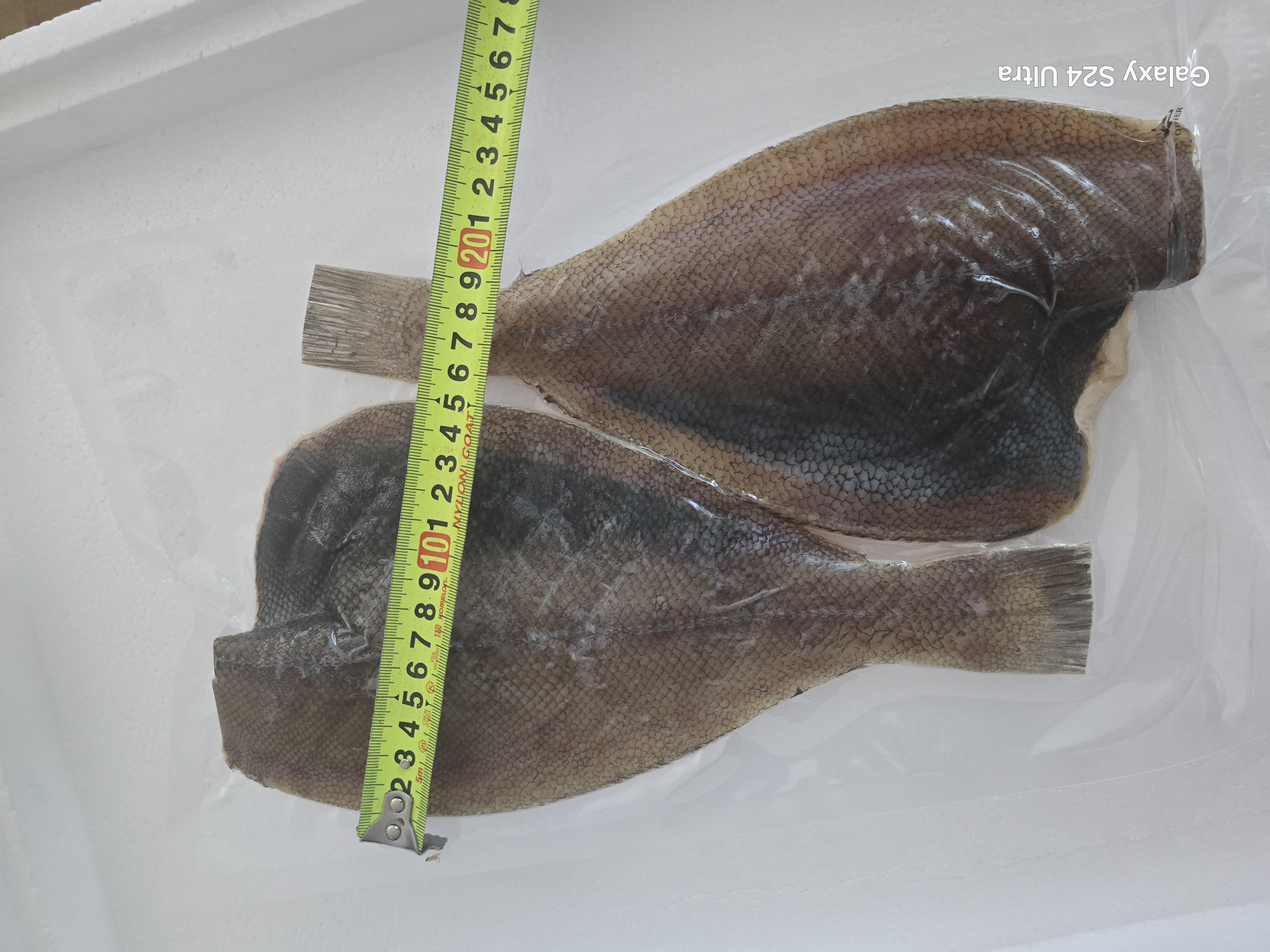 참가자미 특대 완전손질 가자미 2마리(마리당30cm)