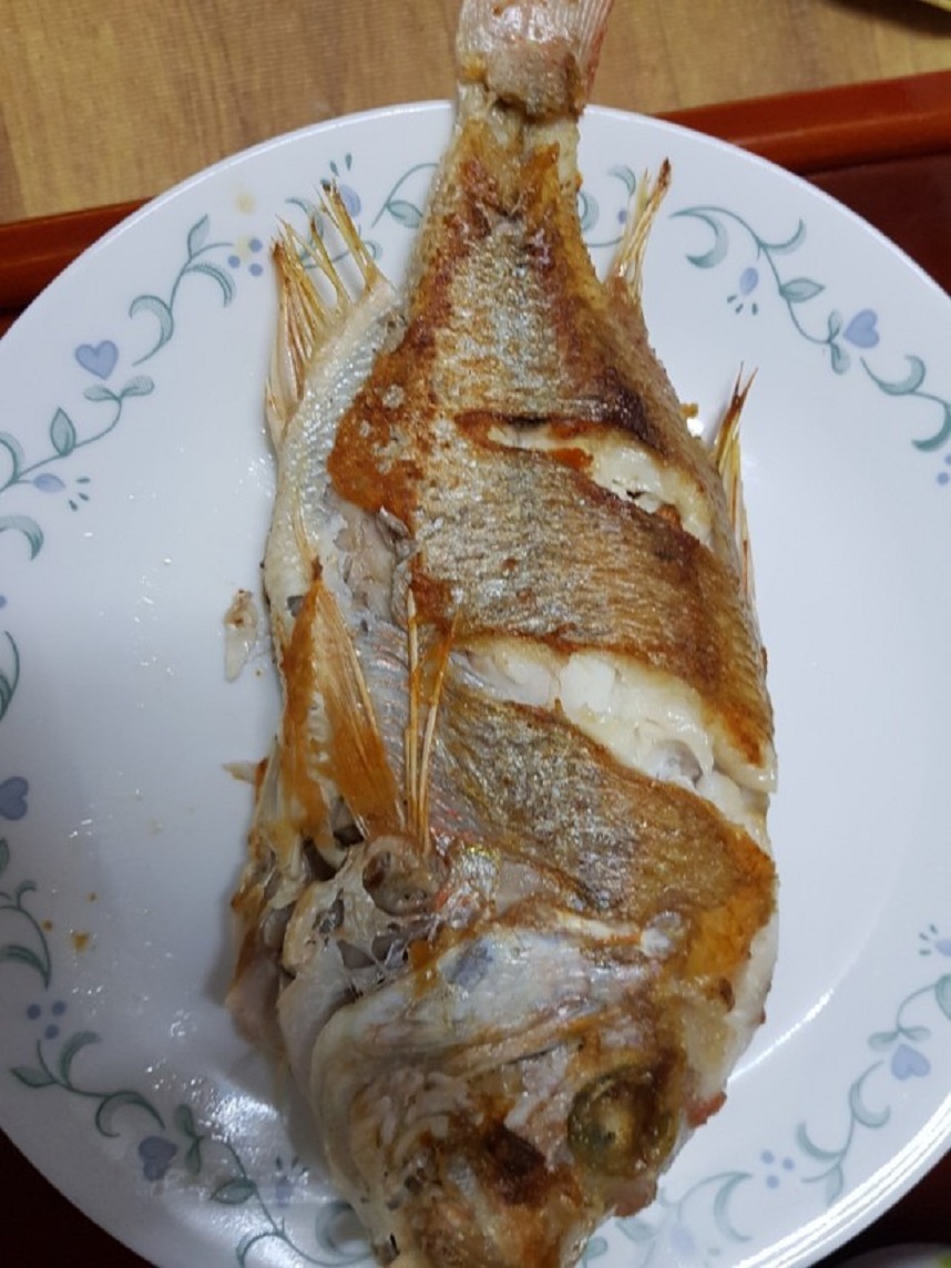 동해바다 해풍건조 국내산 참돔 도미 선물세트 제수용품 3마리(마리당30cm)