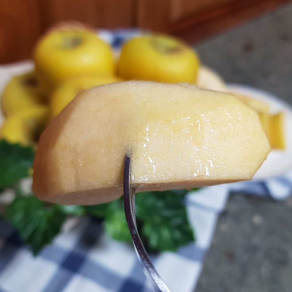 햇 수확 맛있는 청송 시나노골드 사과 1kg 3kg 5kg