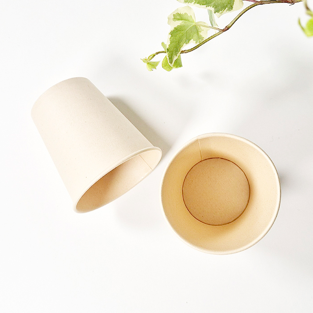 휴홈 사탕수수 종이컵 190ml x 500개