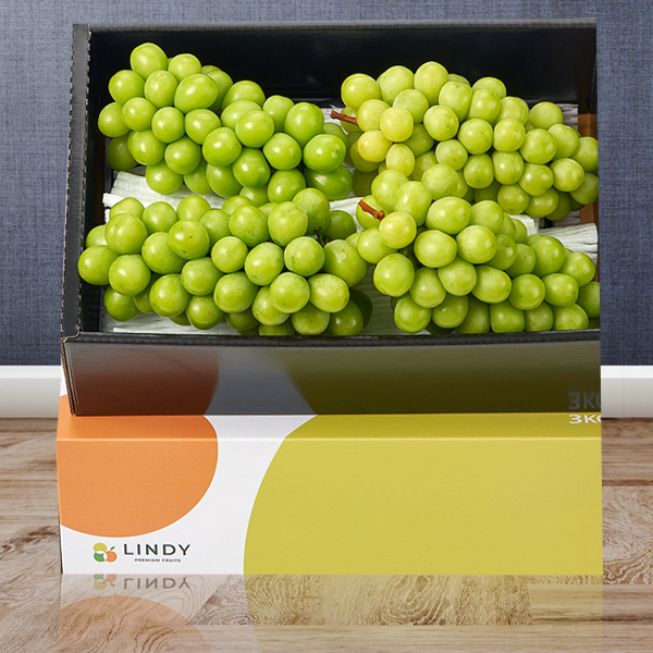 [참마루] 고당도 샤인머스켓 선물세트 3kg(3~4송이)